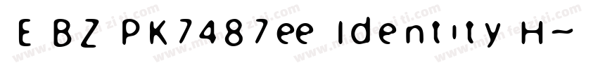 E BZ PK7487ee Identity H字体转换